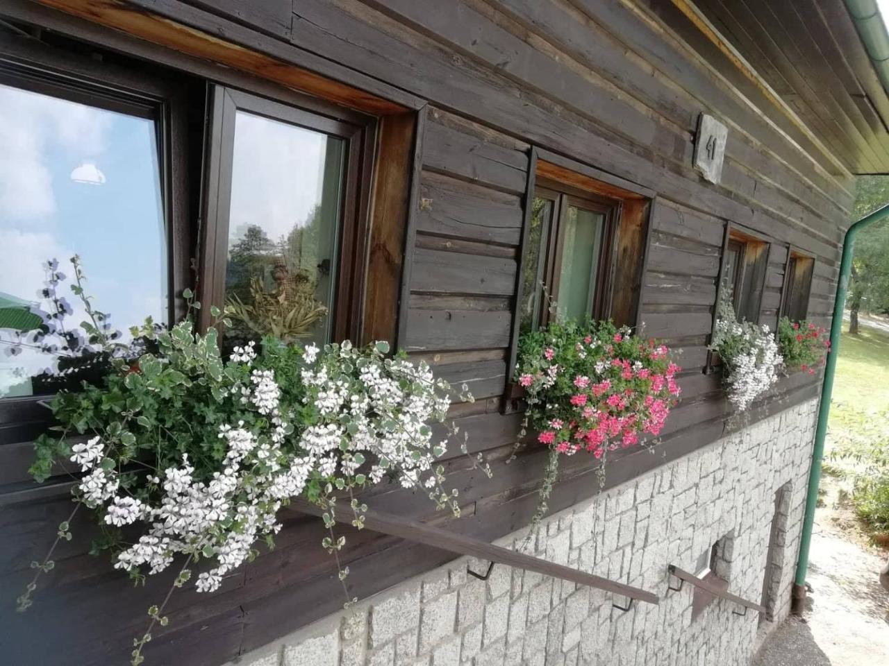 Penzion Pohlednicka Hotell Benecko Exteriör bild